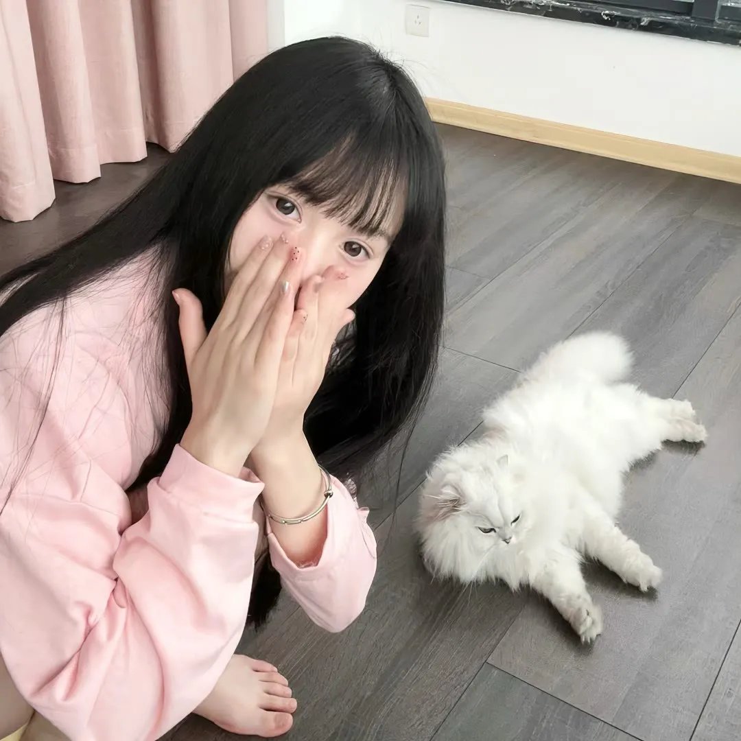 爱玩怪兽